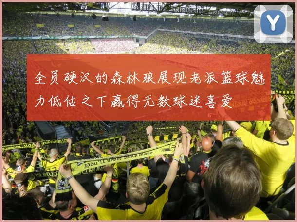 全员硬汉的森林狼展现老派篮球魅力低估之下赢得无数球迷喜爱